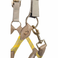 Cabezada Lauria Garrelli Limone Sportive