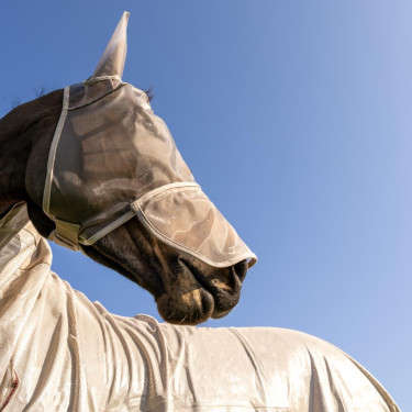 Máscara anti-moscas Classic con orejas y cubre-nariz Kentucky