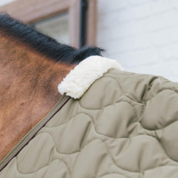 Transporte Combo Cooler Forro Polar Kentucky