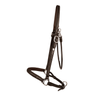 Cabezada de Cepillado Working By Dy'on Castaño Marr&amp;oacute;n