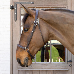 Cabezada de Cepillado Working By Dy'on Cabezada de Cepillado Working By Dy'on