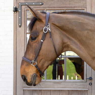 Cabezada de Cepillado Working By Dy'on Cabezada de Cepillado Working By Dy'on