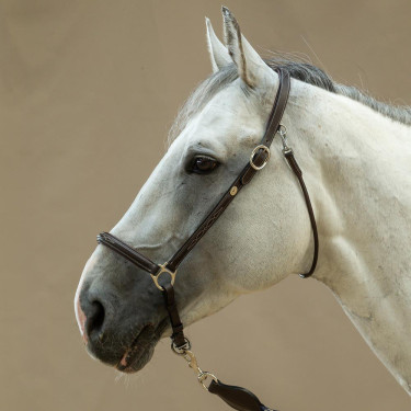 Cabezada de Cepillado Working By Dy'on Cabezada de Cepillado Working By Dy'on