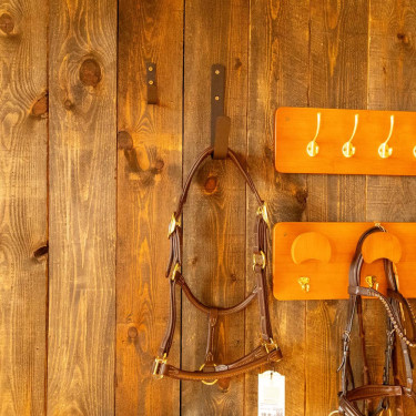 Gran Gancho Mat Grooming Deluxe de Kentucky