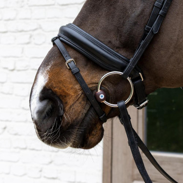 Muserola con anillas Flex Hard Velari