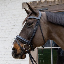 Muserola con anillas Flex Hard Velari