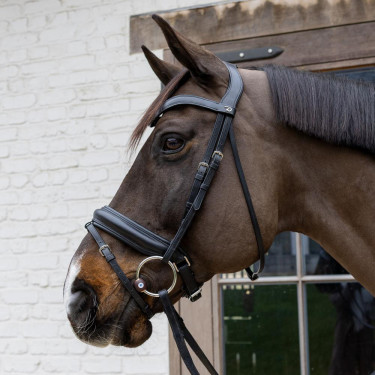 Muserola con anillas Flex Hard Velari