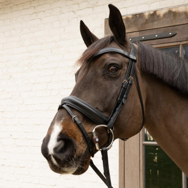 Mors de anillos Flex Hard Velari Mors de anillos Flex Hard Velari