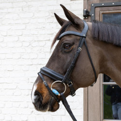 Muserola de anillas Flex Medium Velari