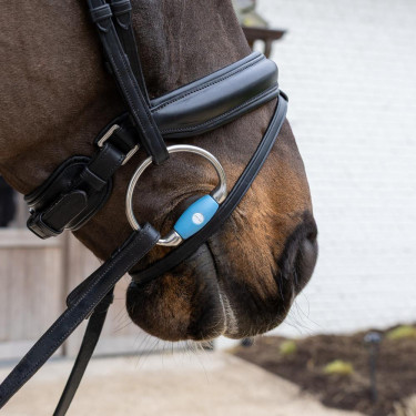 Muserola de anillas Flex Medium Velari