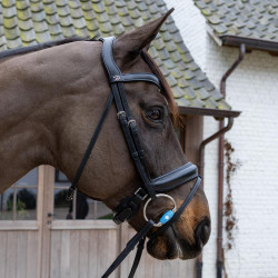 Muserola de anillas Flex Medium Velari