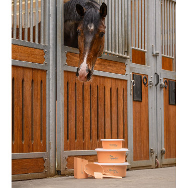 Pala para grano Waldhausen