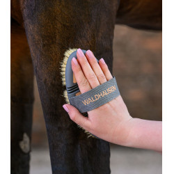 Cepillo de cerda dura Waldhausen Flex