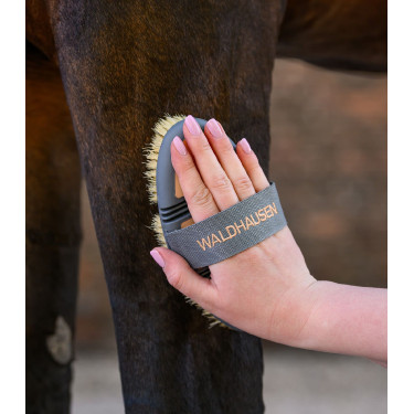 Cepillo de cerda dura Waldhausen Flex