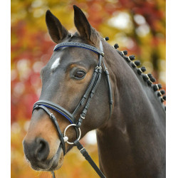 Bridon Star Diamond Azul Bridon Star Diamond Azul