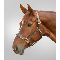 Cabezada de cuero Rosé Waldhausen X-Line Castaño Marr&amp;amp;amp;oacute;n