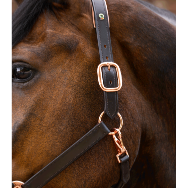 Cabezada de cuero Rosé Waldhausen X-Line Castaño Marr&amp;amp;amp;oacute;n