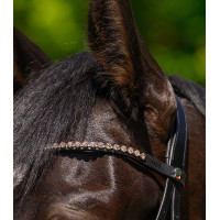 Frontal Glam negro X-Line Waldhausen Negro / melocotón