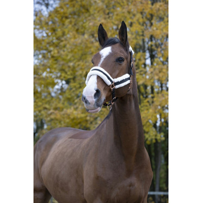 Cabezada de cuadra Norton Confort Negro