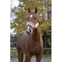 Cabezada de cuadra Norton Confort Roja