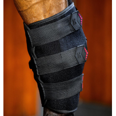 Protector de corvejón de terapia Horseware con luz roja LED