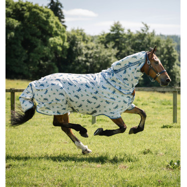 Camisa anti-moscas Horseware Amigo Bug Rug XL Plus Motivo libélula / plata / azul / salvia Motifs Camisa anti-moscas Horseware Amigo Bug Rug XL Plus Motivo libélula / plata / azul / salvia Motifs