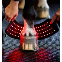 Mini Protector Terapéutico Horseware con Luz Roja LED