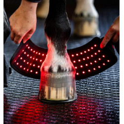 Mini Protector Terapéutico Horseware con Luz Roja LED