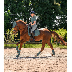 Protectores de doma Waldhausen Air Performance Verde pino