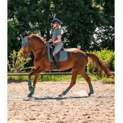 Protectores de doma Waldhausen Air Performance Verde pino