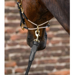 Longe Royal Waldhausen con detalles de cuero Negro