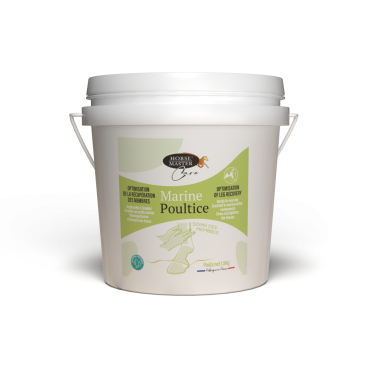 Arcilla marina Horse Master