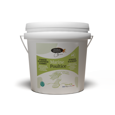 Arcilla marina Horse Master