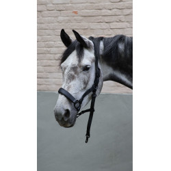 Cabezada Lami-Cell Flexicare