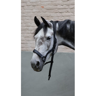 Cabezada Lami-Cell Flexicare