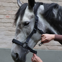 Cabezada Lami-Cell Flexicare