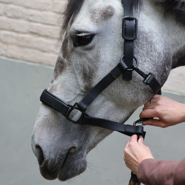 Cabezada Lami-Cell Flexicare