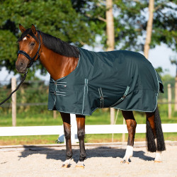 Manta de paddock Imperial Riding Basic sin cuello 300 g Verde
