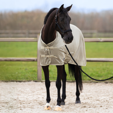 Manta antimoscas con cubrecuello desmontable Imperial Riding Reese Oliva clara Verde