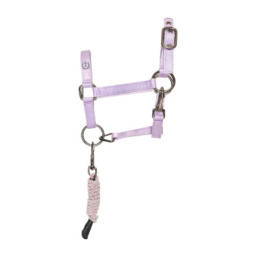 Cabezada para caballo de palo Imperial Riding Free Spirit Glicina Violeta