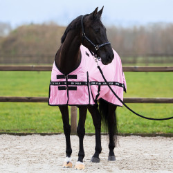 Cubre-moscas HV Polo Nena Rosa bonita