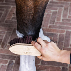 Cepillo Classic de madera corto y duro Grooming Deluxe by Kentucky Castaño Marr&amp;amp;amp;oacute;n