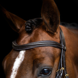 Brida inglesa Imperial Riding combinada Sleek Castaño Marr&amp;amp;amp;oacute;n