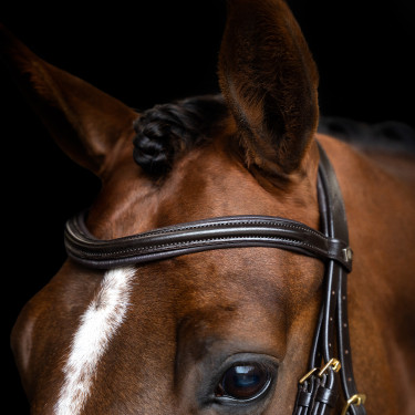 Brida inglesa Imperial Riding combinada Sleek Castaño Marr&amp;amp;amp;oacute;n