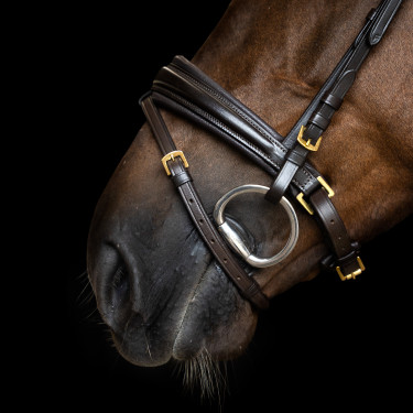 Brida inglesa Imperial Riding combinada Sleek Castaño Marr&amp;amp;amp;oacute;n