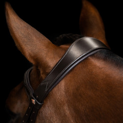 Brida inglesa Imperial Riding combinada Sleek Castaño Marr&amp;amp;amp;oacute;n