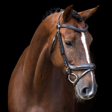 Brida Imperial Riding con muserola inglesa curvada Castaño Marrón Brida Imperial Riding con muserola inglesa curvada Castaño Marrón