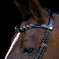 Brida Imperial Riding con muserola combinada ergonómica baja Negro