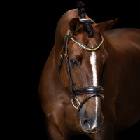 Brida Imperial Riding combinada simple Castaño Marr&amp;amp;amp;oacute;n