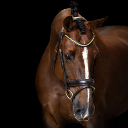 Brida Imperial Riding combinada simple Castaño Marr&amp;amp;amp;oacute;n